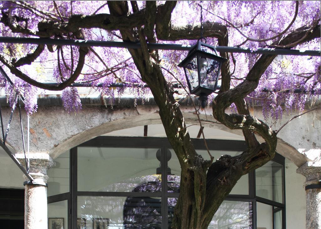 Antico Glicine B&B Maslianico ภายนอก รูปภาพ
